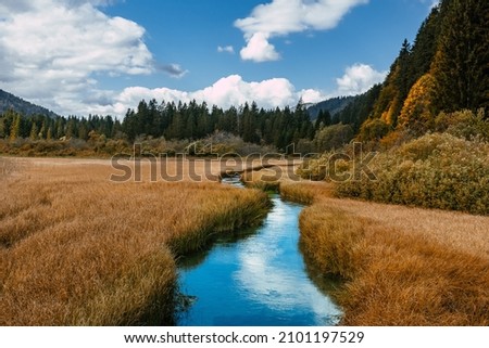 A beautiful fall scenery with creek through grassland at Zelenci nature reserve in Slovenia