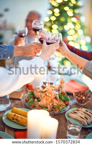 Beautiful family meeting smiling happy and confident. Eating roasted turkey and toasting with cup of wine celebrating Christmas at home