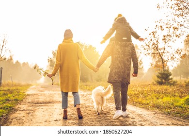 Beautiful family with small son and a golden retriever dog on a walk in autumn sunny nature. Happy couple holding hands. Back view.