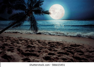 Beautiful fantasy tropical beach with star and full moon in night skies (seascape) - Retro style artwork with vintage color tone 