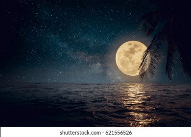 Beautiful fantasy tropical beach with star and full moon in night skies - Retro style artwork with vintage color tone 