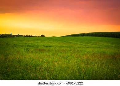 Beautiful farm field with grass and corn at sunset, Amish country, Lancaster Pennsylvania 