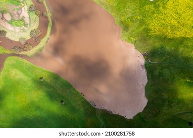 Beautiful Farming Landscape, With Green Hills, Cows And Rivers. 