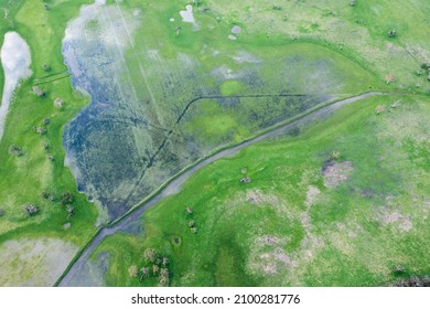 Beautiful Farming Landscape, With Green Hills, Cows And Rivers. 