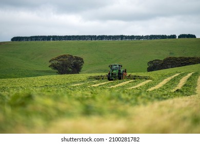 Beautiful Farming Landscape, With Green Hills, Cows And Rivers. 