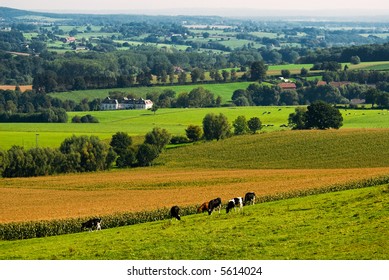 farm scapes