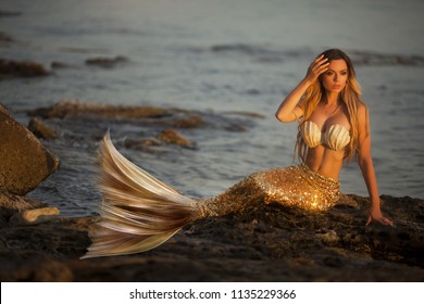 Beautiful fashionable mermaid sitting on a rock by the sea
