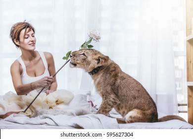 Beautiful fashionable young woman with a cute little alive lion cub