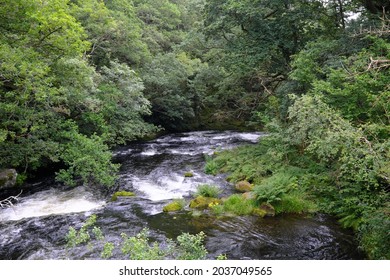 A Beautiful Fast Flowing River Passing Through A Wooded Valley In Mid Wales, UK.