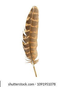 219,174 Single Feather Images, Stock Photos & Vectors | Shutterstock