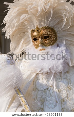 Beautiful feather mask in white