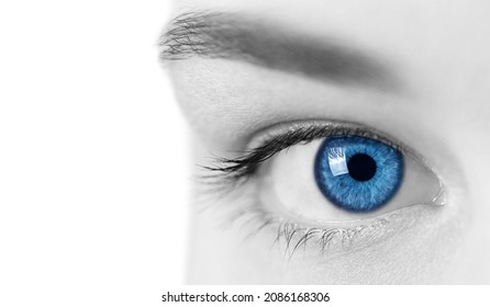 Beautiful Female Blue Eye, Close Up View. Attractive Clear Sight Of Young Curious Lady. Black And White Concept. Isolated On White.