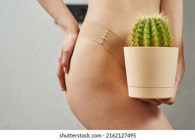 beautiful female body. a green cactus with thorns near a woman's pussy in body panties. women's health, cystitis, thrush, epilation. beauty and self care