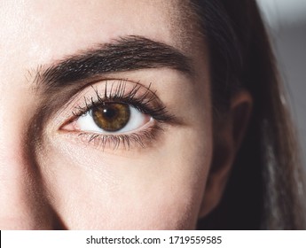 Beautiful female brown eye close-up. The eye is looking down. Mascara on the eyelashes. Charming look. Bare eye without makeup. For makeup.
