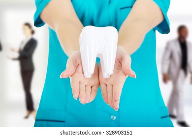 Beautiful female dentist holding a tooth model.