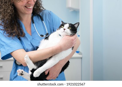 Beautiful Female Doctor Veterinarian Is Holding A Cute White Cat On Hands At Vet Clinic And Smiling. High Quality Photo