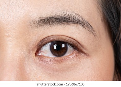 Beautiful Female Eyes Close Up  Eye Woman With Natural Makeup  Macro Shot 
