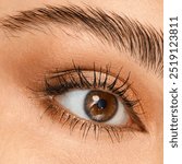 Beautiful female eyes with long eyelashes. Eyelash Extensions. Makeup, Cosmetics, Beauty. Close up, Macro, eye makeup 