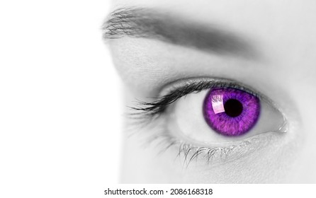 Beautiful Female Fantasy Purple Eye, Close Up View. Attractive Clear Sight Of Young Curious Lady. Black And White Concept. Isolated On White.