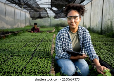 Beautiful female farm owner using  tablet smiling friendly at the organic vegetable plots inside nursery.African woman farmer Taking care of seeding tray with happiness in greenhouse using technology. - Powered by Shutterstock