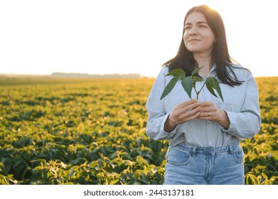 A beautiful female farmer or agronomist inspects soybeans in the field at sunset. The concept of agrarian business - Powered by Shutterstock