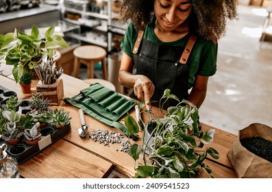 Beautiful female gardener florist in an apron transplants a flowerpot and decorates it with stones while working with small gardening tools on a wooden table in a flowerpot shop.Top view.    - Powered by Shutterstock