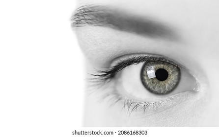 Beautiful Female Gray Eye, Close Up View. Attractive Clear Sight Of Young Curious Lady. Black And White Concept. Isolated On White.