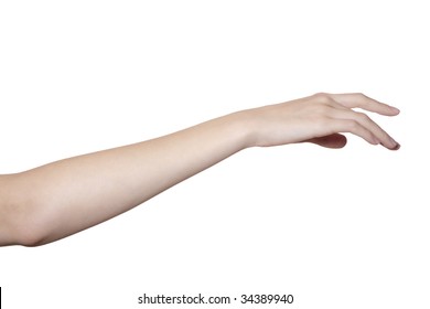 Beautiful Female Hand And Arm Isolated On White