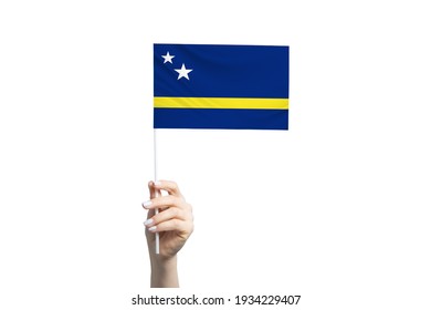 Beautiful female hand holding Curacao flag, isolated on white background.