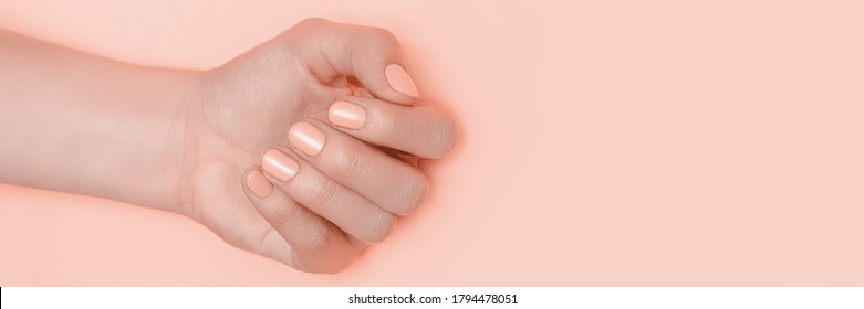 Beautiful Female Hand With Perfect Pink Nails Polish On Pink Background. Banner Image