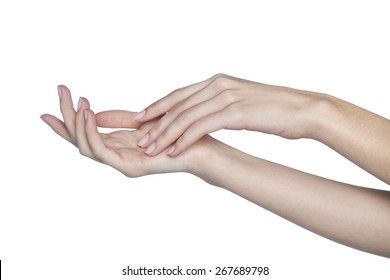 Beautiful Female Hands
