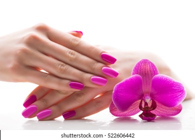 Beautiful Female Hands With Pink Nail Polish On A White Background, Spa Treatments