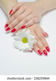 Beautiful female hands with red manicure and nail polish 
