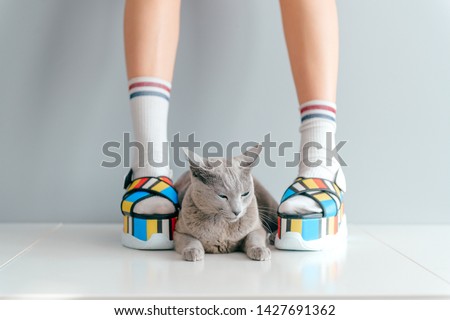 Beautiful female legs wearing fashionable shoes with lovely kitten on gray background