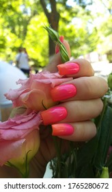 beautiful female manicure in bright shades pink  orange color  gradient the nails  A delicate pink bouquet eustoma flowers