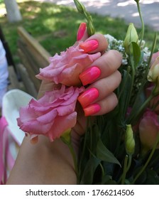 bright pink eustoma color