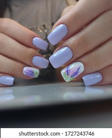 beautiful female manicure and short nails from lavender soft lavender color and gel polish   lavender pattern