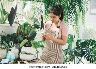 Beautiful Female Smiling Works At Garden Centre Retail Store. Taking Orders Over The Phone. She Working At Table And In Background Is A Shop With Lots Of Plant.