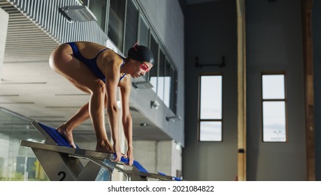 Beautiful Female Swimmer Diving into Swimming Pool. Professional Athlete Standing on a Starting Block, Ready to Jump into Water. Person Training Determined to Win Championship. - Powered by Shutterstock