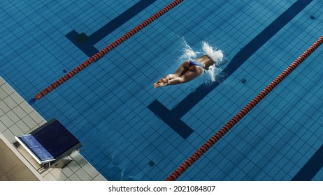 Beautiful Female Swimmer Diving In Swimming Pool. Professional Athlete Jump Into Water. Person Determined To Win Championship. Stylish Colors, High Angle View.