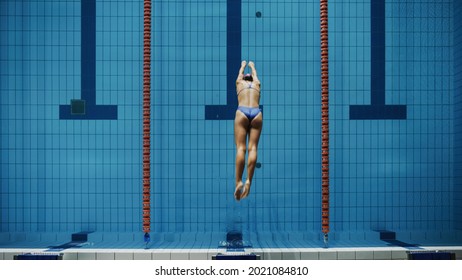 Beautiful Female Swimmer Diving in Swimming Pool. Professional Athlete Jumps into Water. Person Determined to Win Championship. Stylish Colors, Blurry Top Down Shot. - Powered by Shutterstock