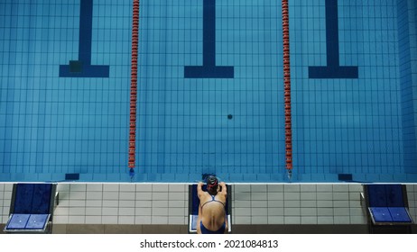 Beautiful Female Swimmer Diving In Swimming Pool. Professional Athlete Standing On A Starting Block, Ready To Jump Into Water. Person Determined To Win Championship. Stylish Colors, Top Down Shot.