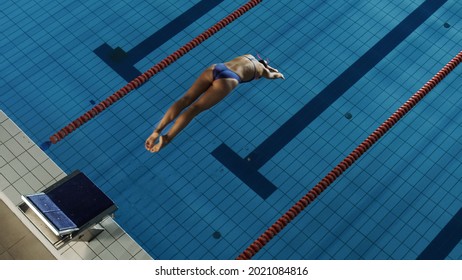 Beautiful Female Swimmer Diving In Swimming Pool. Professional Athlete Jump Into Water. Person Determined To Win Championship. Stylish Colors, High Angle View.