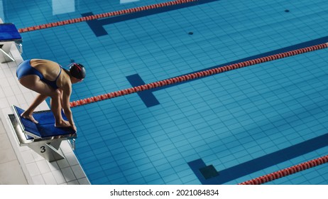 Beautiful Female Swimmer Diving In Swimming Pool. Professional Athlete Standing On A Starting Block, Ready To Jump Into Water. Person Determined To Win Championship. High Angle View.