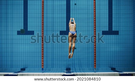 Beautiful Female Swimmer Diving in Swimming Pool. Professional Athlete Jumps into Water. Person Determined to Win Championship. Stylish Colors, Blurry Top Down Shot.
