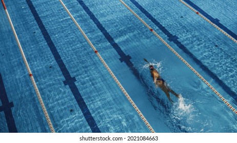 Beautiful Female Swimmer in Swimming Pool. Professional Athlete Gracefully Swims at Full Speed. Woman Determined to Win the Championship and Set World Record. Aerial Shot - Powered by Shutterstock