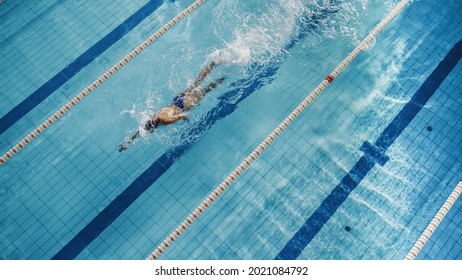 Beautiful Female Swimmer Using Front Crawl, Freestyle in Swimming Pool. Professional Athlete Training to Win Championship. Stylish Colors, High Angle Shot - Powered by Shutterstock