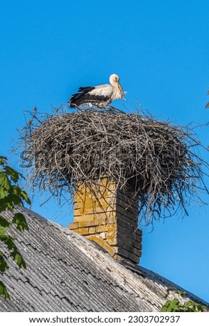 Similar – Foto Bild Ausgewachsener Europäischer Weißstorch Fliegend gegen grüne Wälder. Ciconia Ciconia.