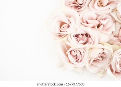 Beautiful feminine floral flat lay fresh rose background