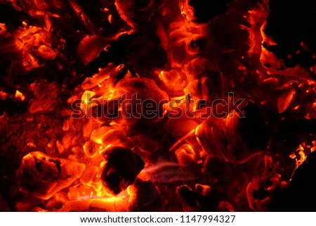 Beautiful fire in the garden at summer night. Abstract Background Red Fire Planet.